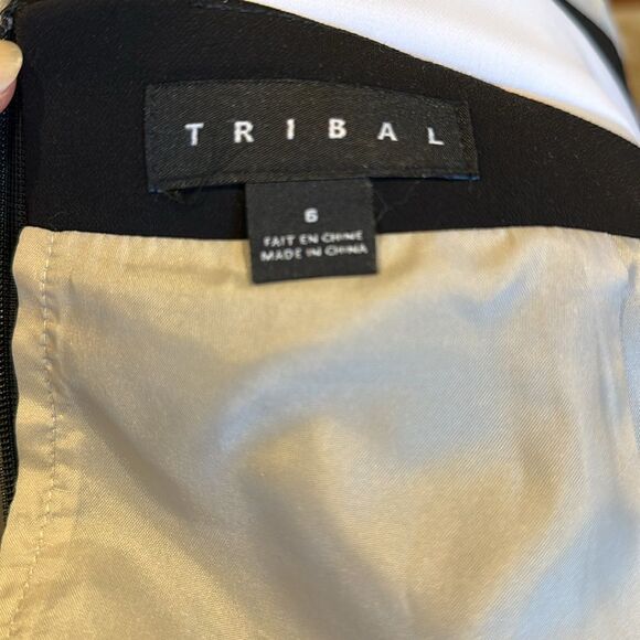 Tribal colorblock stripe lined pencil skirt. Back kick pleat. Size 6. - Picture 4 of 4